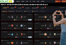 Comprehensive Guide to Enjoying Live Football and Match Recaps